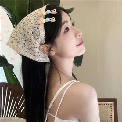 案中案